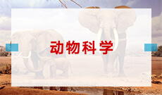 动物科学（应用型） (本科)