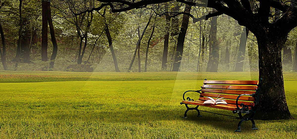 深圳市2018年10月自考报名时间已公布！(图1)