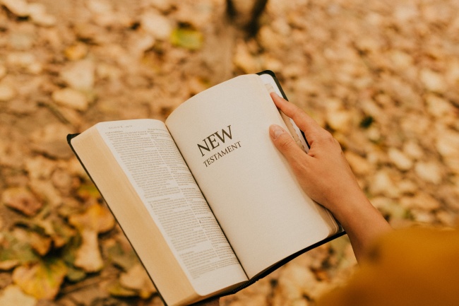 深圳成人自考本科的学历认可度高吗？(图2)