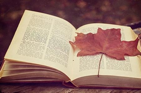 深圳自考《合同法》重点知识点六(图1)