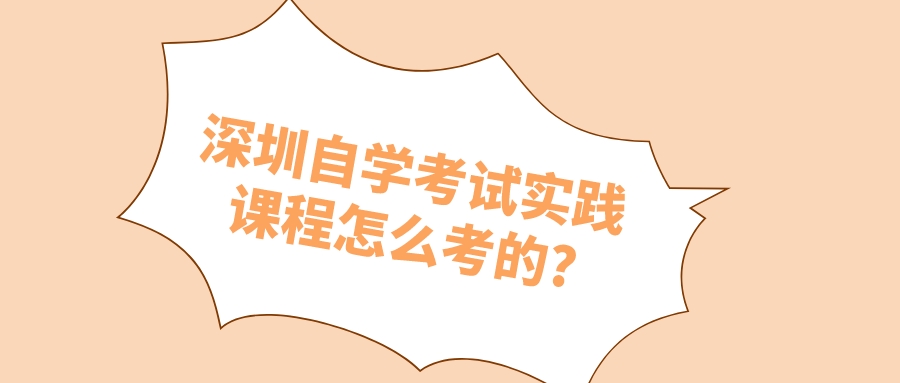 深圳自学考试实践课程怎么考的? 深圳自学考试实践课程怎么考的?