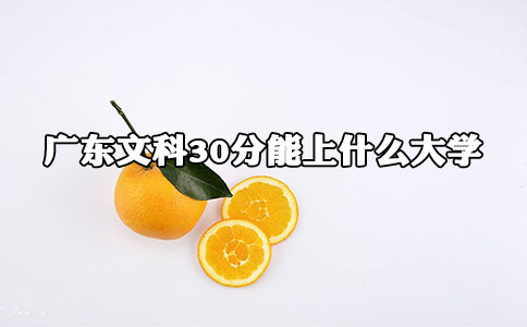 深圳高考文科
