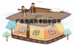 深圳有高升本的学校不