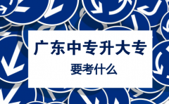 深圳中专升大专要考什么？